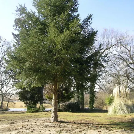Maison Familiale Renovee Pres Du Parc La Pal - 2 Chambres, Jardin, Animaux Acceptes - Fr-1-489-174 * دومبيري سور بيسبري